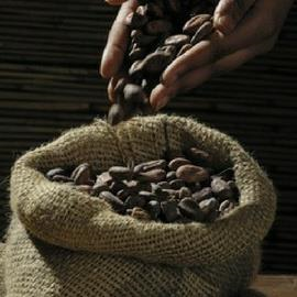 Chocolats de Beussent