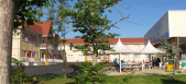 Stella Maris