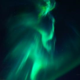 Aurora Reykjavik - Northern Lights Centre