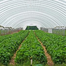 Greenhouse village of Hveragerdi