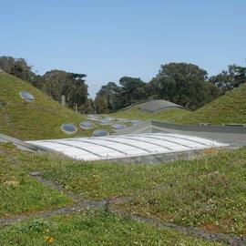 California Academy of Science