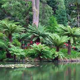 Terra Nostra Park