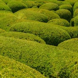 Horta Labyrinth Park
