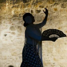Palau Dalmases Flamenco