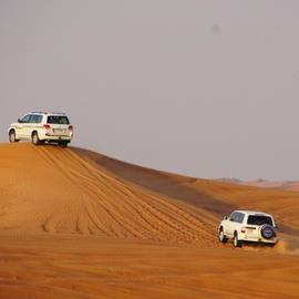 Desert Safari