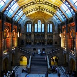 Natural History Museum