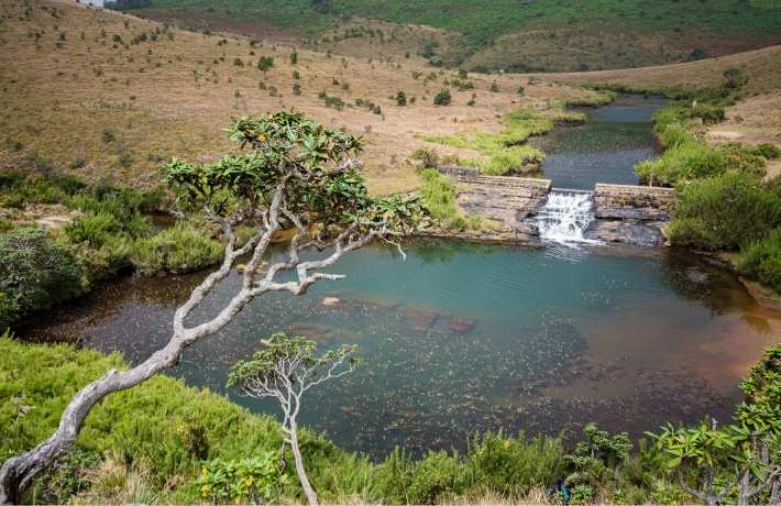 Horton Plains National Park