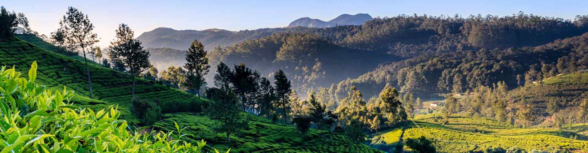 School Trip to Sri Lanka