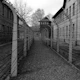 Auschwitz Concentration Camp Auschwitz Concentration Camp