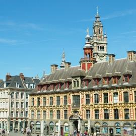 Guided Tour of Lille