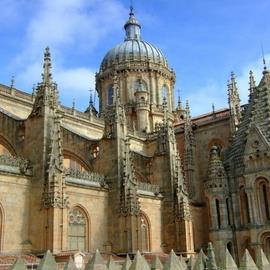 Guided Tour of Salamanca Cathedral