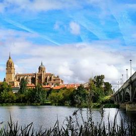 Guided Walking Tour of Salamanca