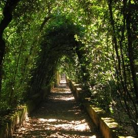 The Boboli Gardens (Giardino di Boboli) 