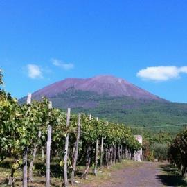 Vesuvius National Park