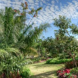 Botanical Garden of Naples (Orto Botanico)