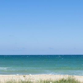 Beach management case study