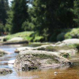 Tordera River Study