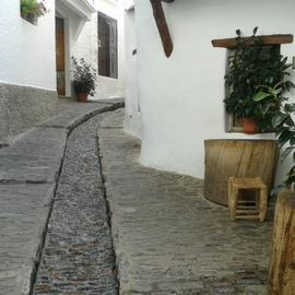Excursion to the Alpujarras