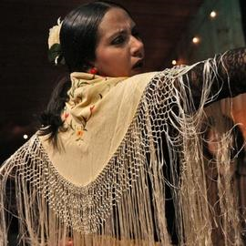 Flamenco Show in the Sacromonte Caves
