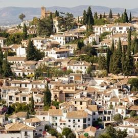 Guided Walking Tour of Granada