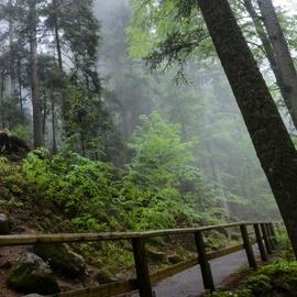 Black Forest Open Air Museum