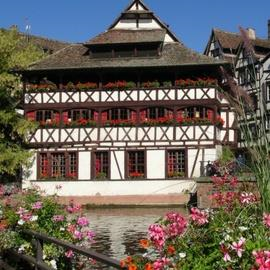 Guided Tour of Strasbourg