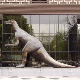 Museum of Natural Sciences 