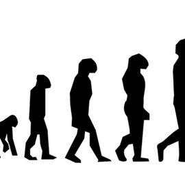 Neanderthal Museum