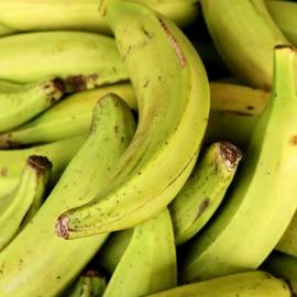 Bananera Jardines de Atlantico