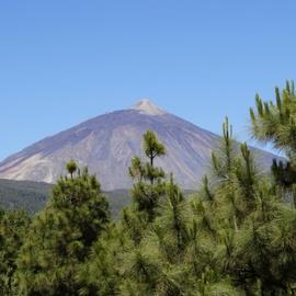 Mount Teide