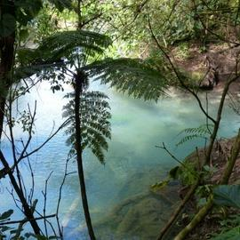 Baldi Hot Springs