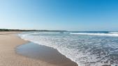 Occidental Tamarindo