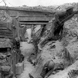 Yorkshire Trench
