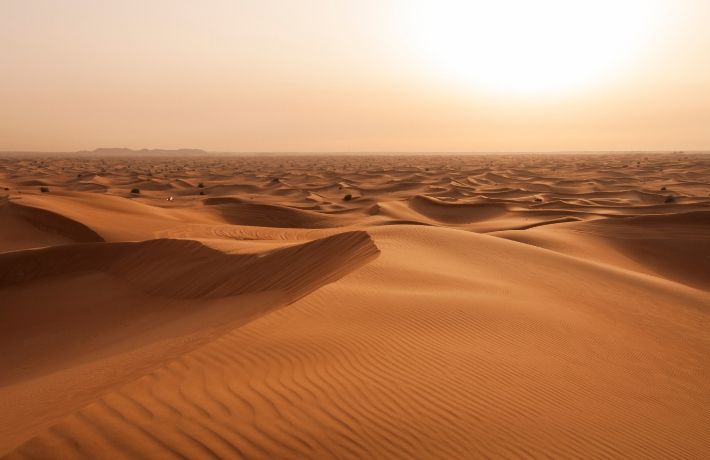 Desert Safari, Dubai