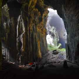 Gomantong Cave