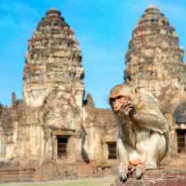 Monkey Temple, Lopburi