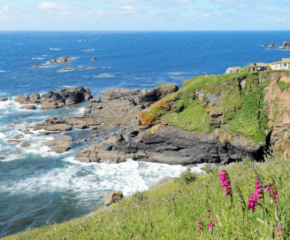 Lizard Point