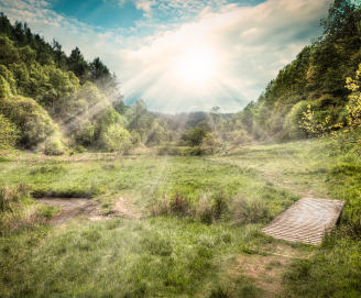 Dalby Forest