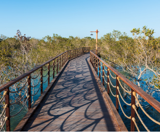 Jubail Mangrove Park