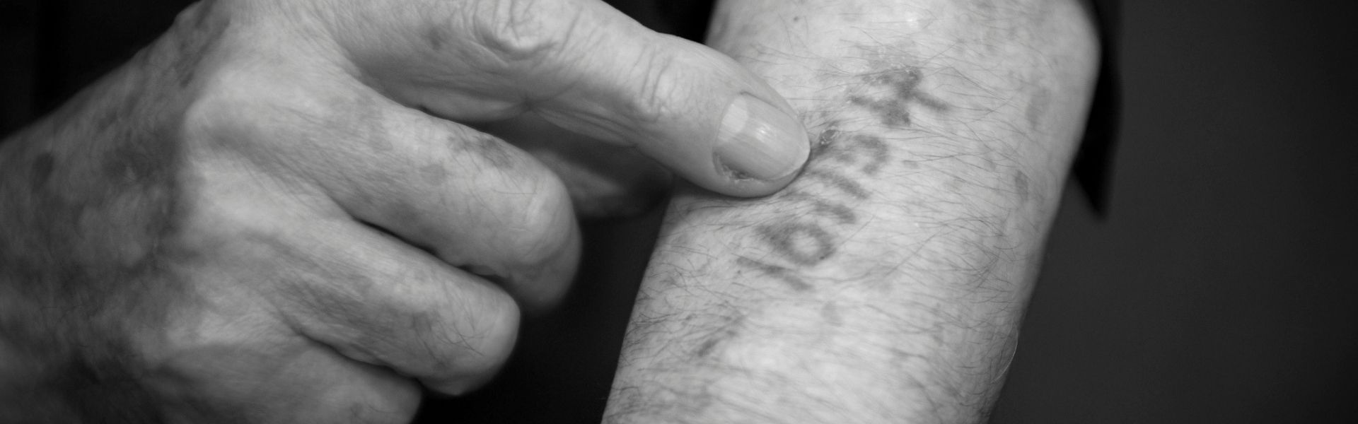 The Nazis & the Holocaust