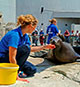 Opal Coast Familiarisation Tour