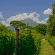 Why Visit...Pompeii?