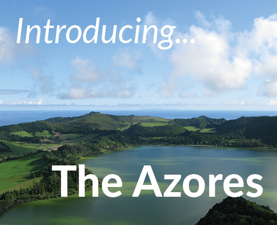 NEW Geography School Trips to the Azores