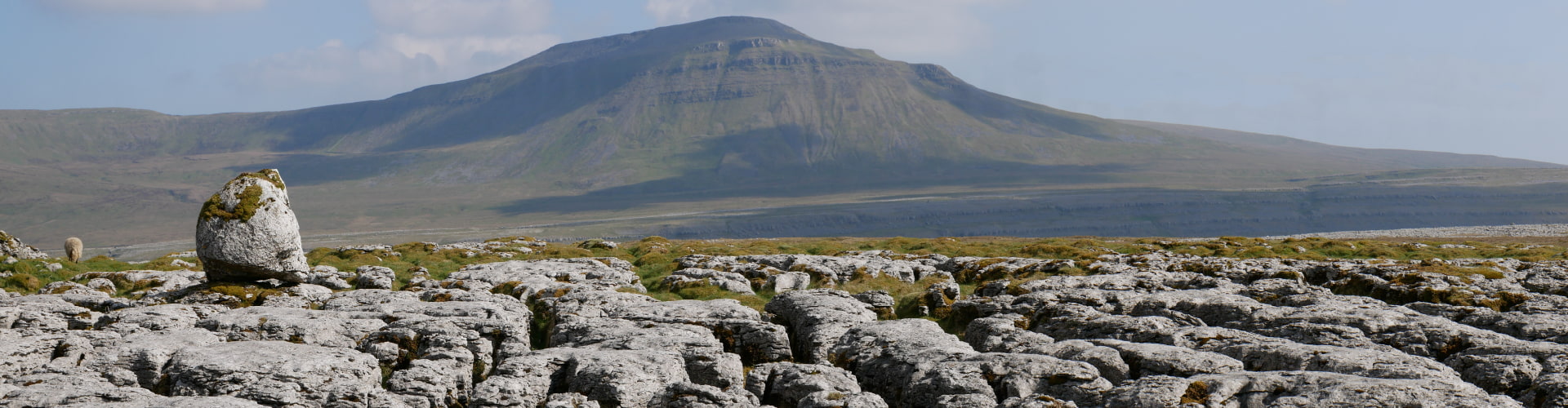 Limestone rocks