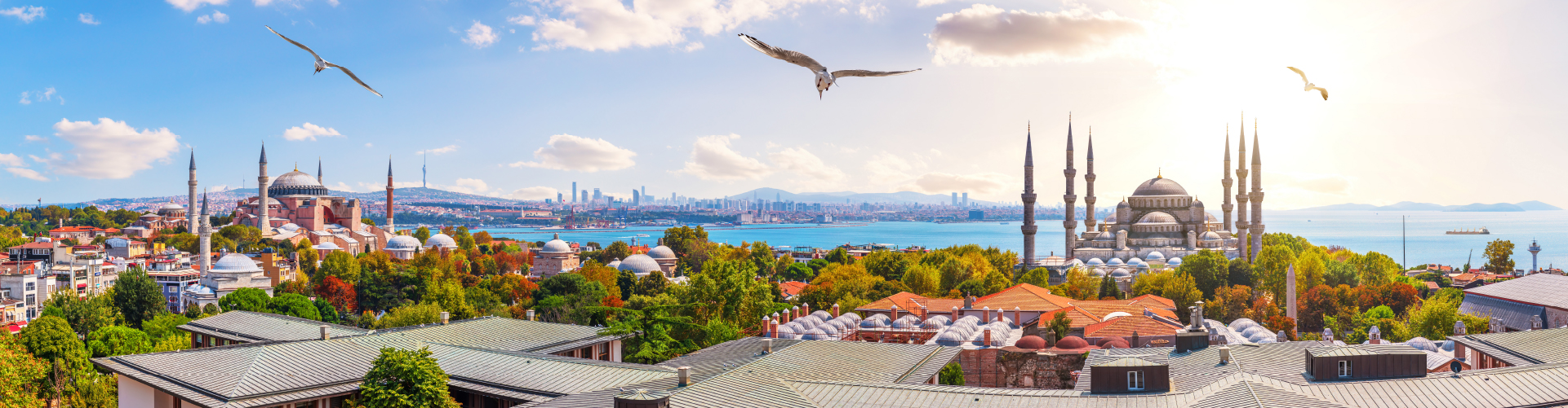 Istanbul skyline