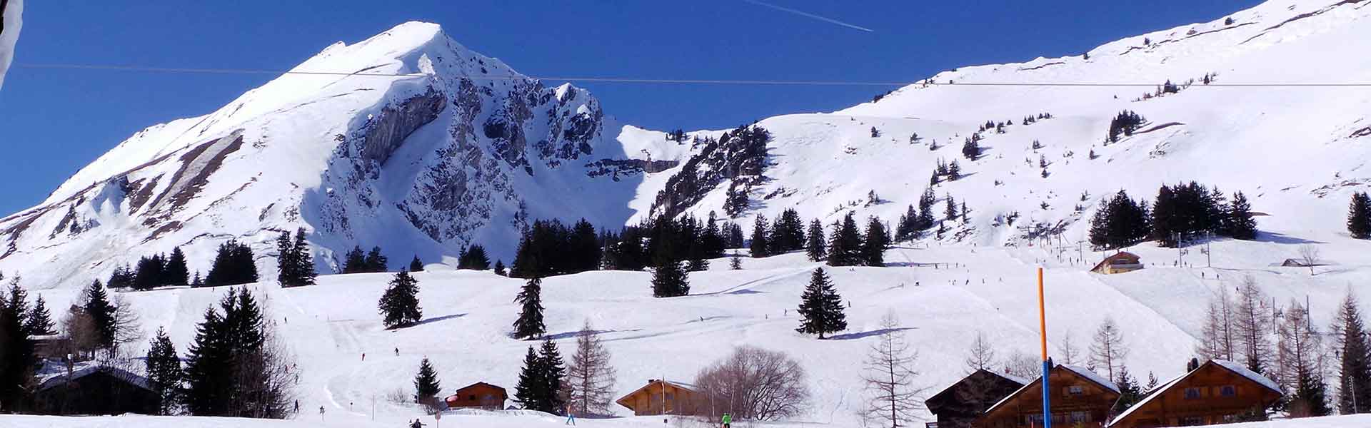 Leysin and Les Mosses