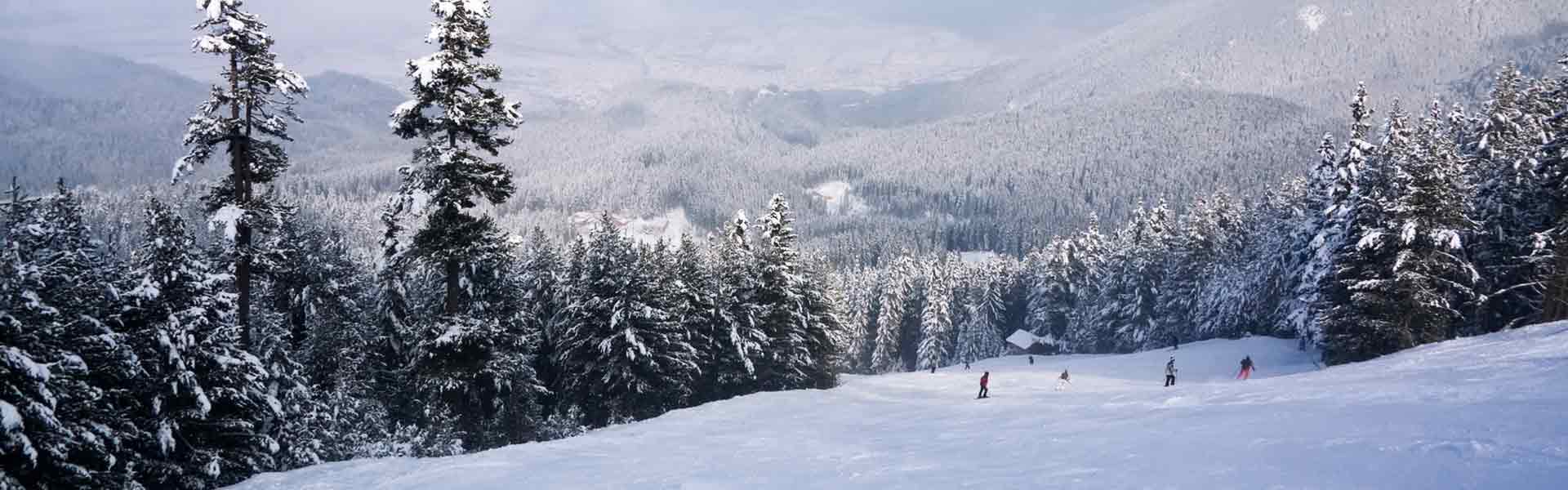 Bansko