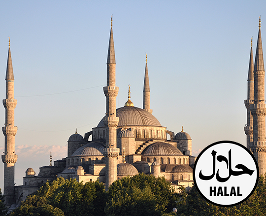 Halsbury Launches Halal School Trips