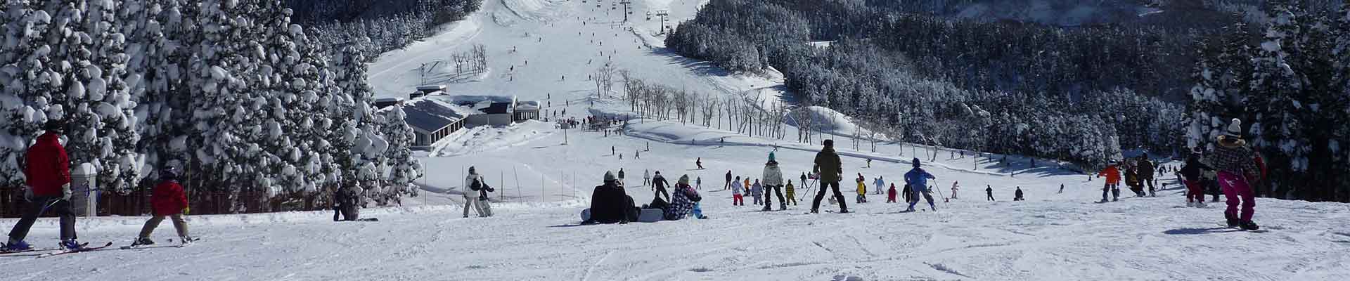 pgl school ski trips