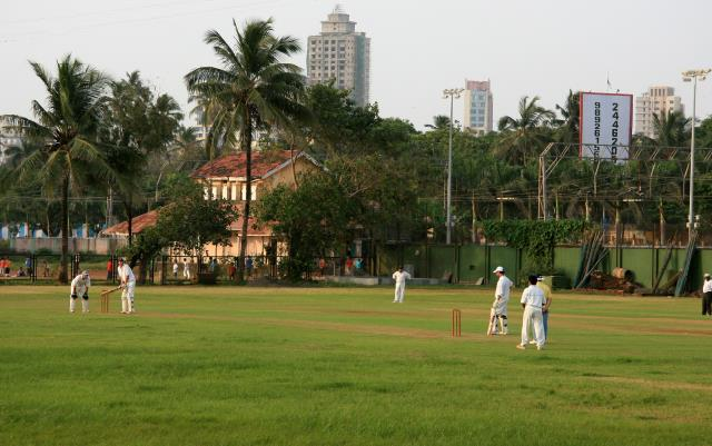 Spotlight on...Cricket in India!